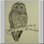 owlart_holden.html